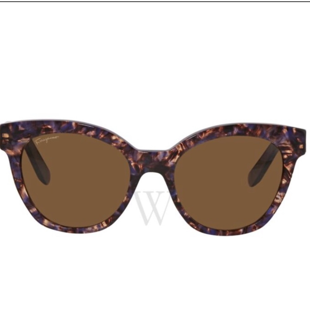 Salvatore Ferragamo 54 mm Violet  Sunglasses